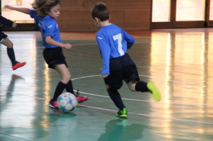 IMG_2086-1024x682